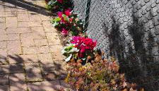 Jasmine Country House - Foto 3, Garden