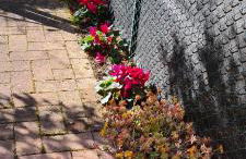 Jasmine Country House - Foto 3