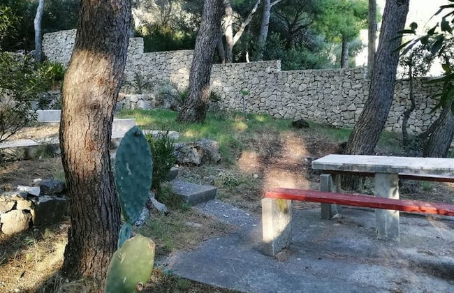 Eli - for Nature Lovers - A1 - Foto 1