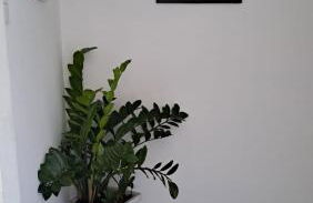 Coop30 Belém - Foto 18