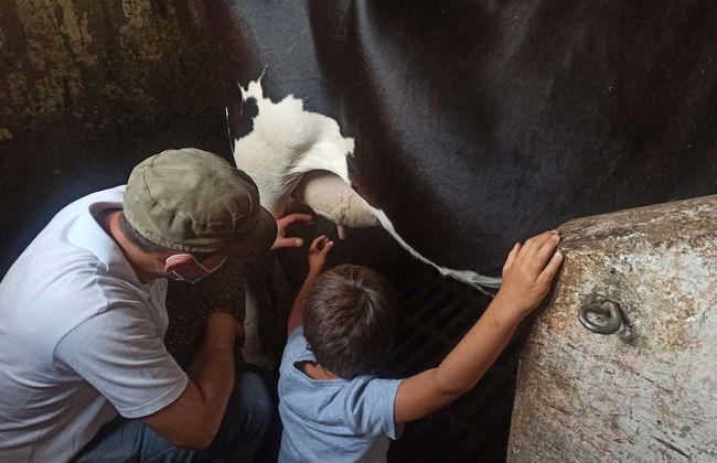 Visita a una granja de vacas lecheras - Foto 5