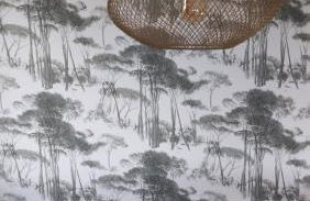 Fewo Silberborn - Weserbergland (Fam. Oehler) - Foto 8