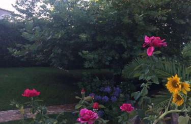 Platanus Gardenhouse - Foto 27