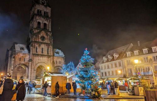 Nouveau-L'Alsakrat-au coeur de Munster - Foto 8