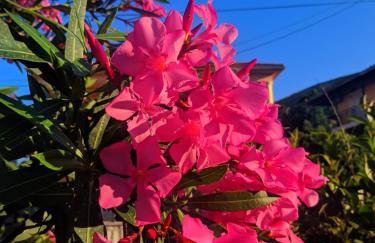 LANDR House - Foto 22