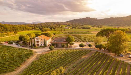 Gîte Vert d'olive au milieu des vignes - Château Les Apiès - Foto 2