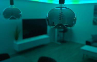 Moderne 2-Zimmer-Wohnung mit Garten - Foto 8