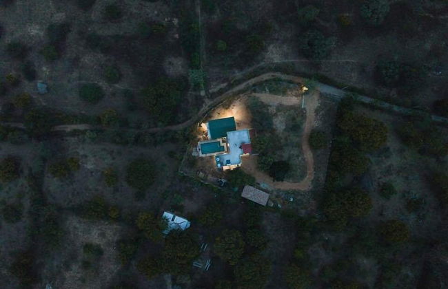 Forestville Yala - Foto 33