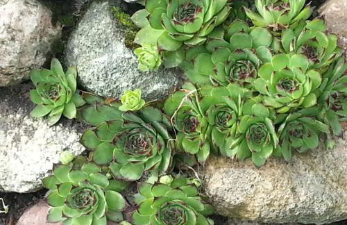 Ferienhaus Emstal in Oberlangen - Foto 24