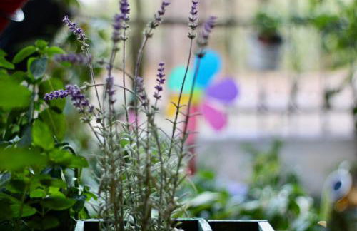 Popis Maison - Photo 57