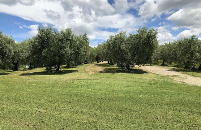 Agriturismo Podere Marchiano - Foto 54