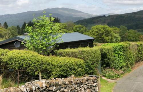 Cabin in the hills near Dolgellau - Foto 28