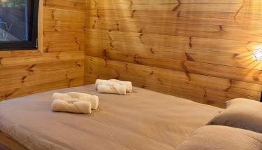 Ackermannia - Foto 4