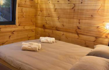 Ackermannia - Foto 4