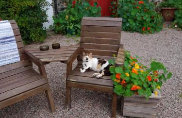 Moira Cottages at Berwickhall Sleeps 8 - Foto 23