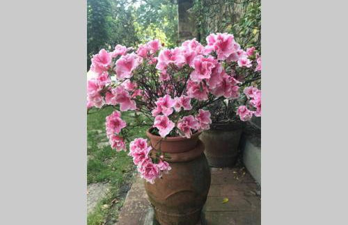 CASA LA TORRE un castello alle porte di Firenze - Photo 17