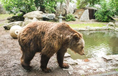 Bischofswerda Ferienwohnung Familienfreundlich Seniorengerecht - Foto 51