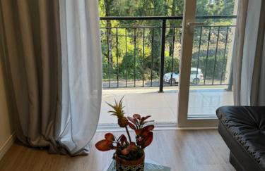 Morada real 303 - Foto 18