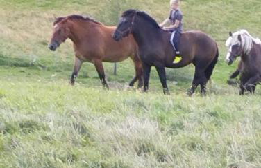 Agroturystyka Sianowo - Foto 8