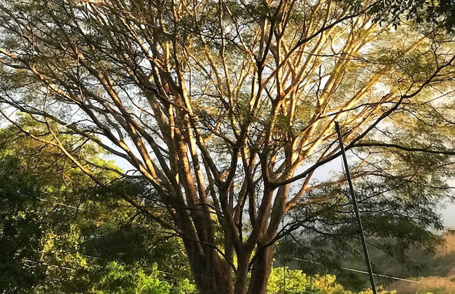 Las Quintas Casas para Vacacionar - Photo 35