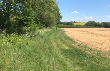 The HopBarn - Foto 19