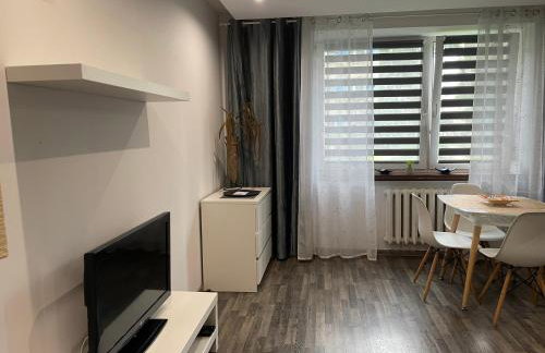 Apartament Gospodarcza - Foto 8