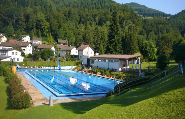 Apartment in Pfaffenberg Near Ski Slopes - Foto 15