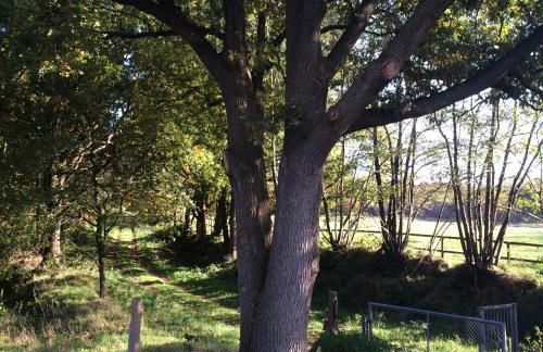 Wacken Ferienhaus - Foto 38