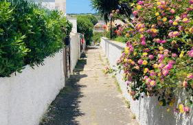 La Rosa del Mare - Foto 27