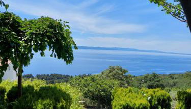 Villa Marija Podgora - Foto 2