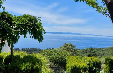 Villa Marija Podgora - Photo 2