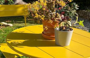 Appartement exceptionnel belle époque avec grande terrasse plein sud - Foto 29