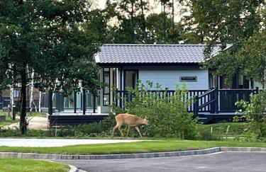 Bumble Lodge New Forest - Foto 29