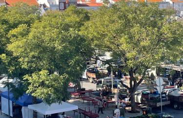 Rossio Rooftop, Porta 6 - Estremoz, Alentejo - Foto 16