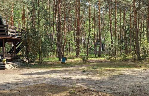 Wilga - klimatyczny domek z 2 tarasami - Foto 29