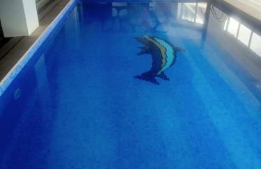 MARINA SOL VIVEIRO - Foto 57