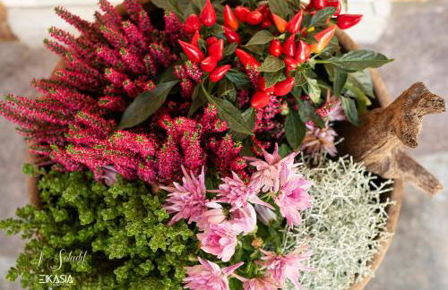 Al Soladif - Mansarda con vista - Foto 51