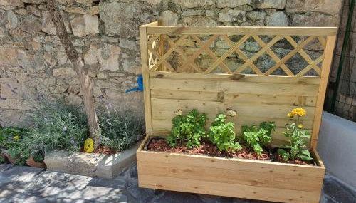 Kuća za odmor Žinžula - Foto 3