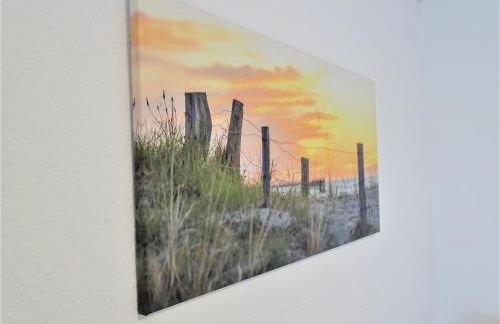 Kornblume - a64867 - Foto 21