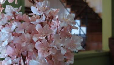 Agnadema House - Foto 5