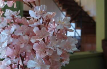 Agnadema House - Photo 5