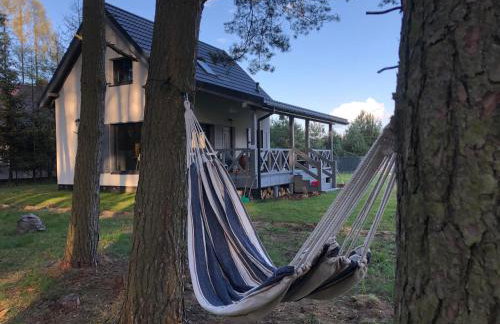 Młyńska Chata - drewniany, całoroczny dom w sosnowym lesie - Foto 6