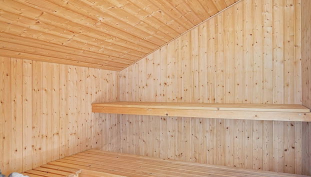 8 Person Holiday Home in Nexo - Photo 2, Sauna