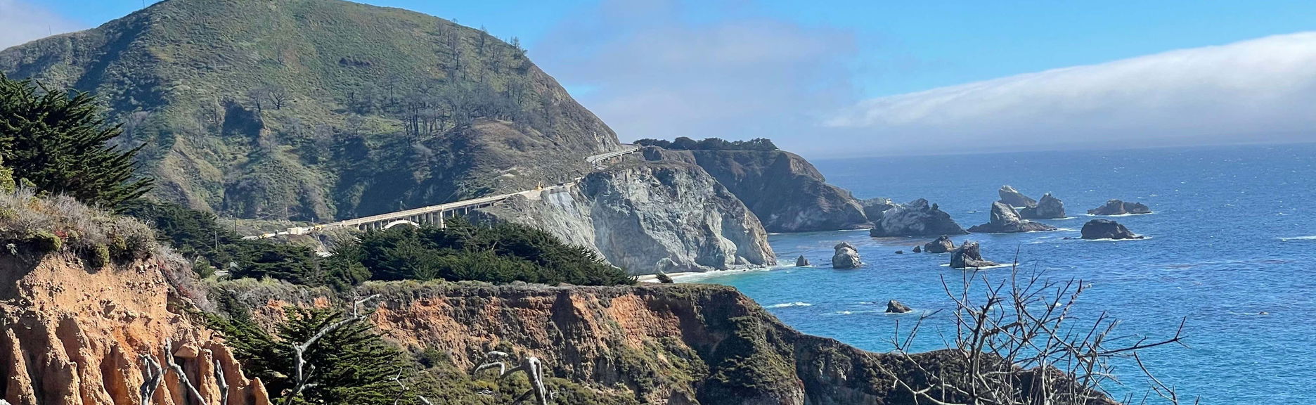 Excursión a Carmel y Monterrey