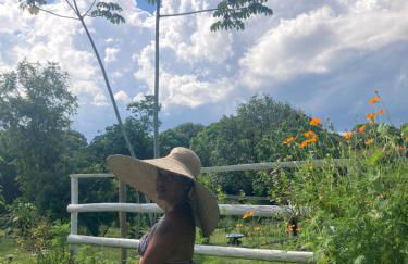 Sítio Luz das Estrelas - Foto 7