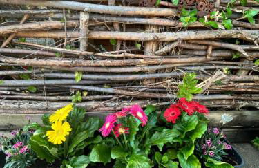 Cadwgan House - Foto 55