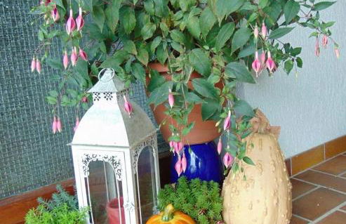 Obere Ferienwohnung Asshoff zwischen Odenwald, Taubertal und Bauland - Foto 18