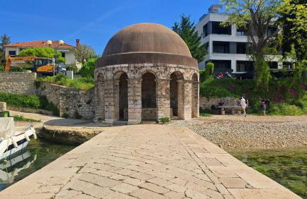 Suzy's botanica - Foto 18