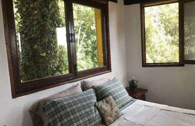 Pet Friendly Casa Studio in the Woods - Foto 4