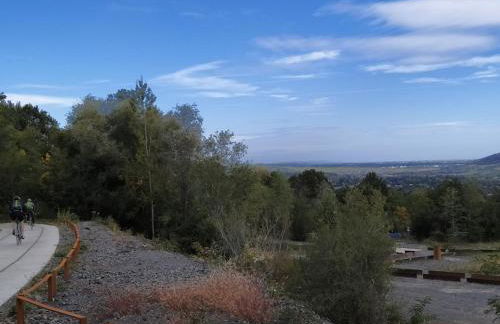 Appartments Rue Des Châteaux - Photo 27